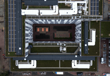 Project The Fizz Leiden