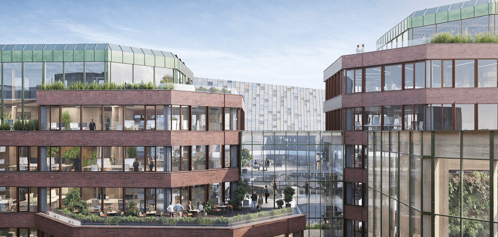 De Nieuwe Tuin